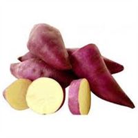 BATATA DOCE