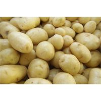 BATATA X