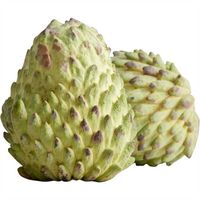 ATEMOIA